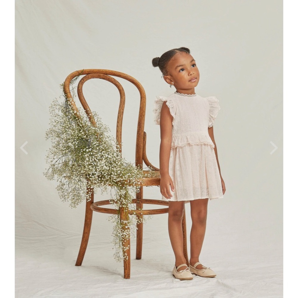 Noralee Alice Dress in powder pink